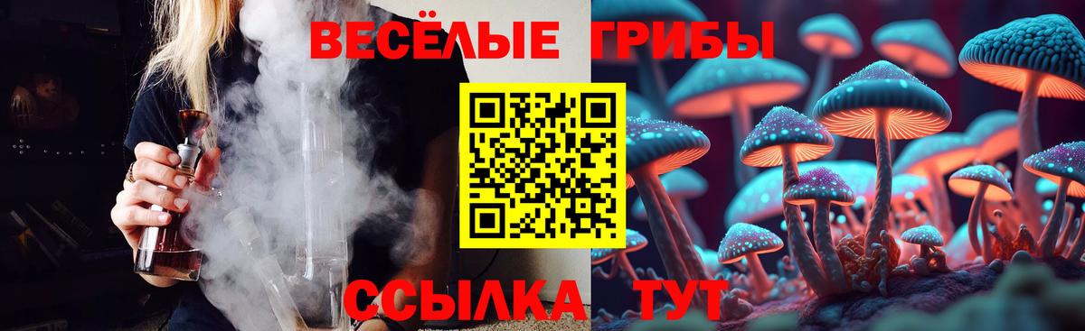 Псилоцибиновые грибы мицелий Кольчугино