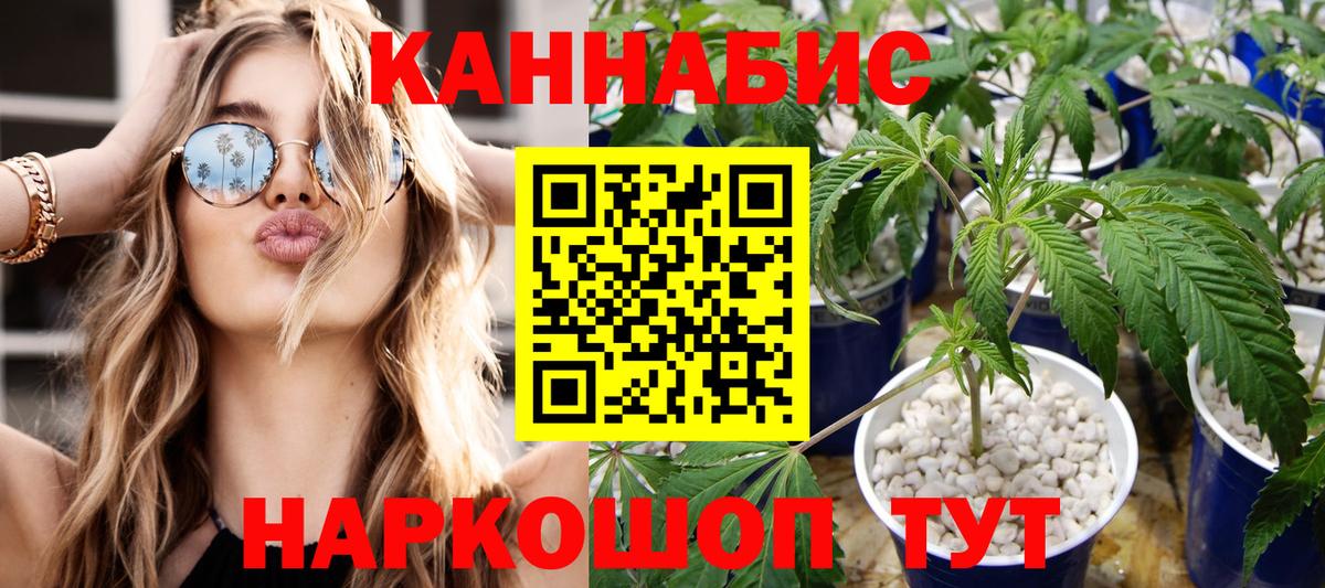 Бошки Шишки AK-47  МАРИХУАНА THC 21%  Кольчугино  МАРИХУАНА конопля  Вход с VPN  Шишки марихуана THC 21% 